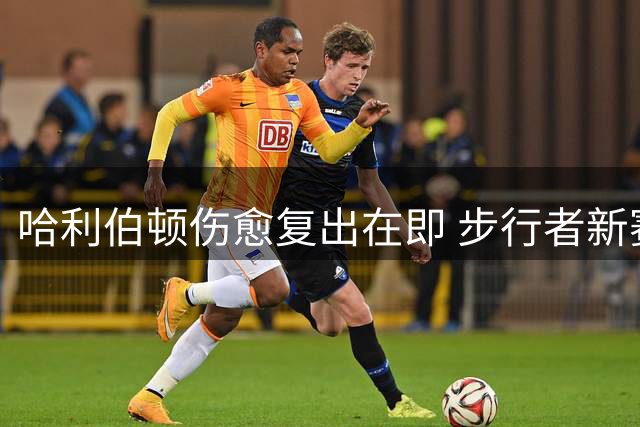 哈利伯顿伤愈复出在即 步行者新赛季阵容升级剑指总冠军