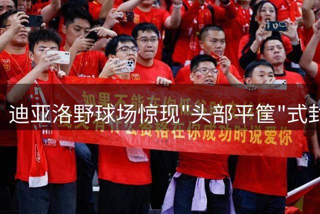 迪亚洛野球场惊现"头部平筐"式封盖，爆炸性弹跳震撼全场
